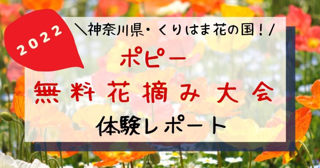 【２０２２年】くりはま花の国・ポピー無料花摘み大会・体験レポート